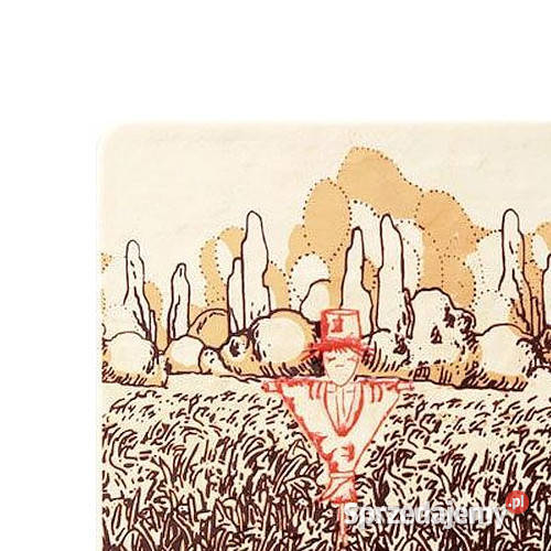 Dekor Samaria Village 4 Domino 20 x 20 aktualne Płytki ścienne Płytki i fugi Białogard