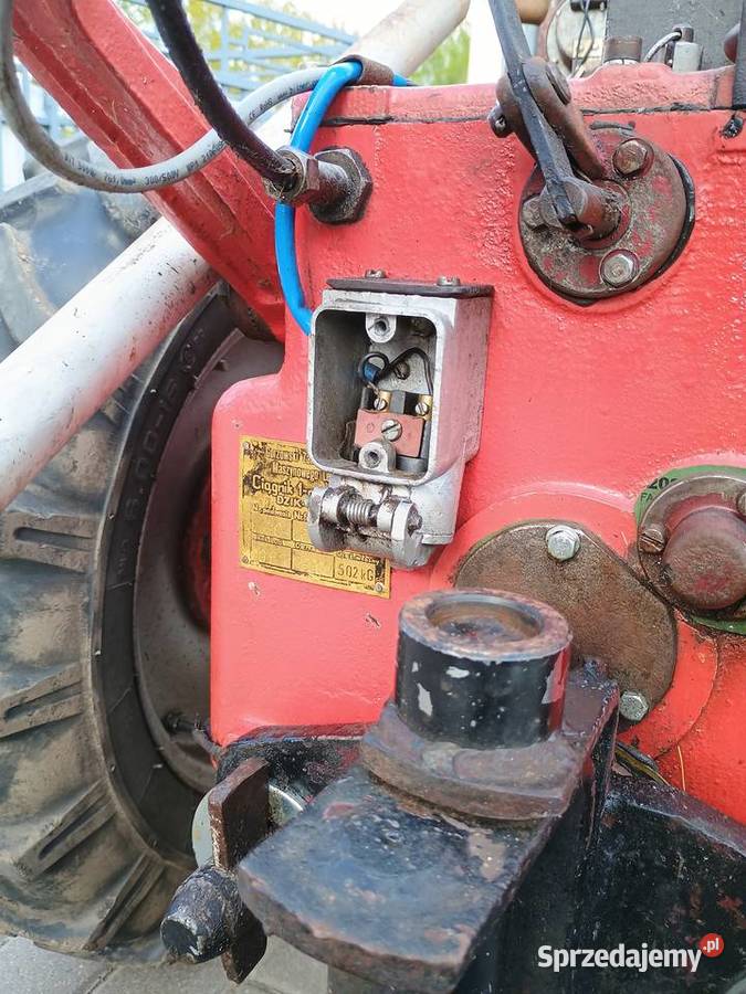 Sprzedam dzik 2 Pozostałe