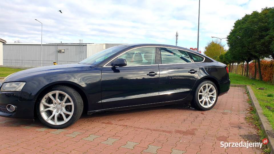 Na Sprzedaż Grudziądz