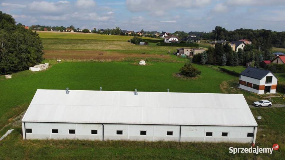 Sprzedam hale z płyt warstwowych obornickich Bielsko-Biała