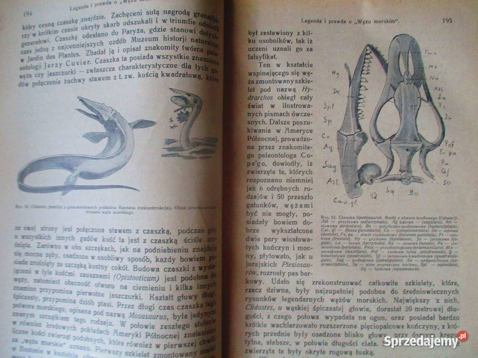 Przyroda i technika MKoczwara 1928 rocznik biologia, ekologia Książki naukowe i popularnonaukowe Łódź