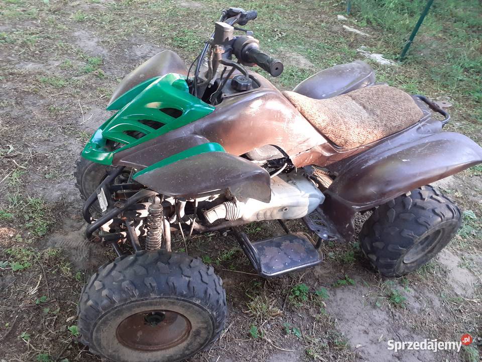 Kingway Alpinus 150 Wolin sprzedam