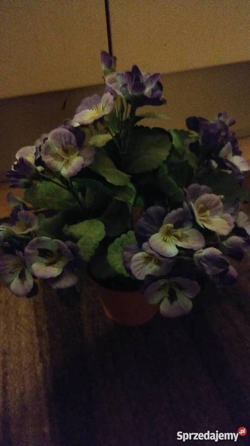 kwiaty sztuczne bratki Poznań