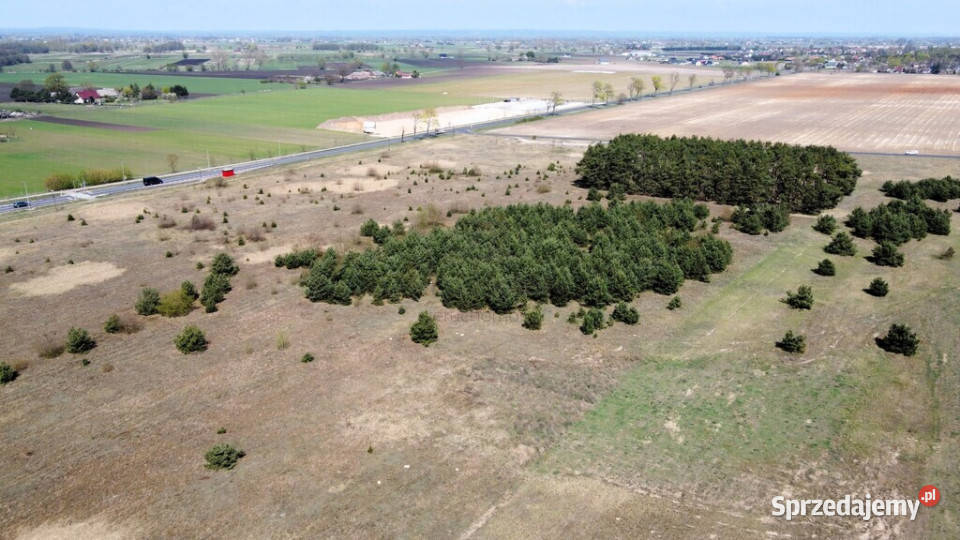 3 ha terenów usługowych DK22 0 handlowo-usługowa lubuskie Karkoszów