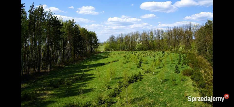 Działka budowlana 1095M2 WZ BRZÓZA Brzóza sprzedam