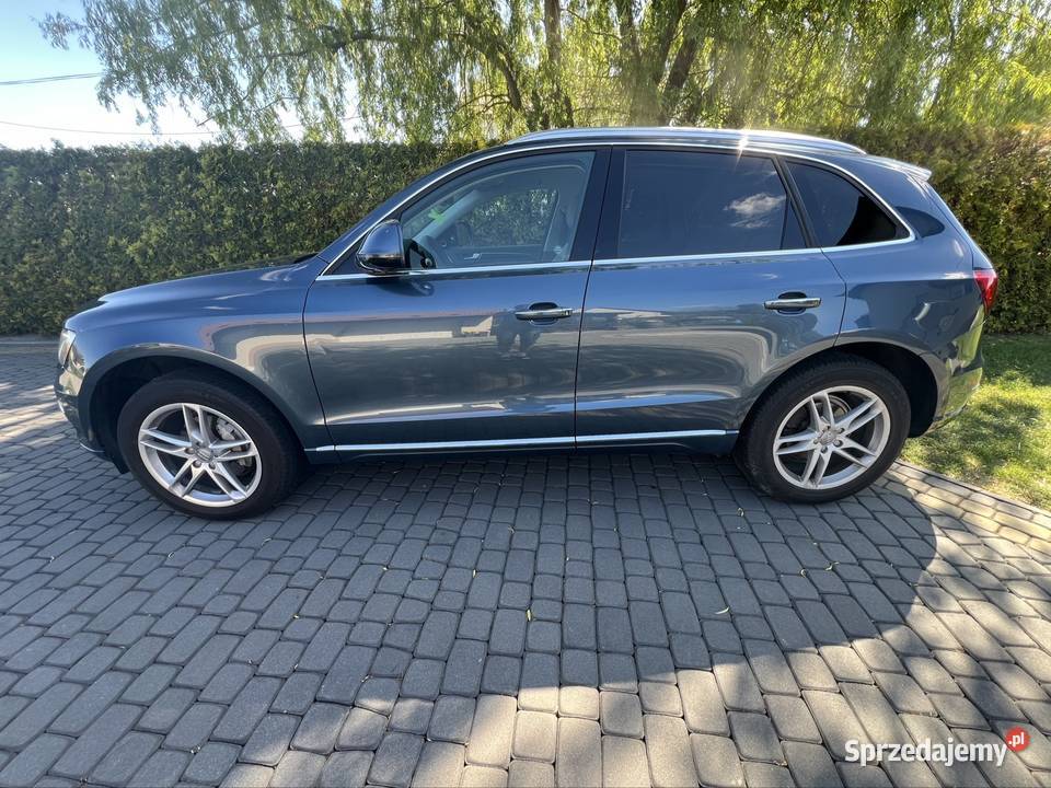 Audi Q5 Sokołów Małopolski