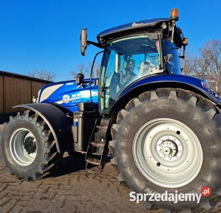 2017 Holland opolskie Opawica