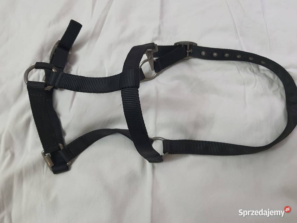 akcesoria koni kandar Łódź