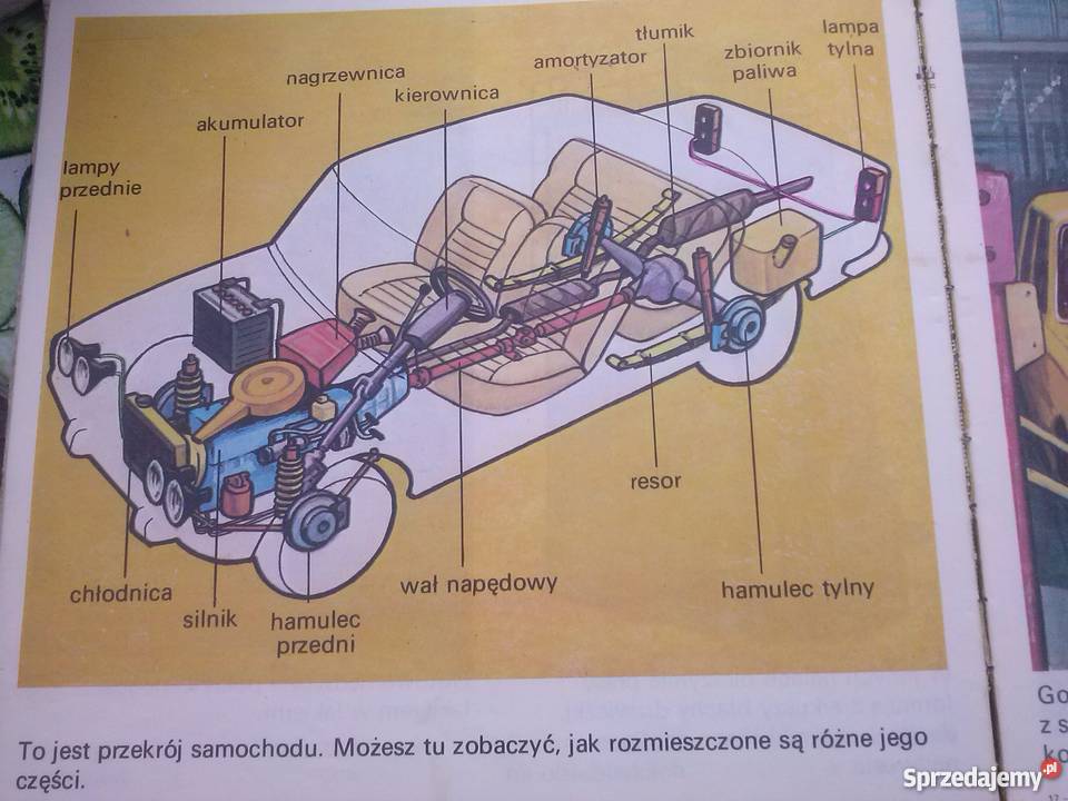 POZNAJĘ ŚWIAT Książka z dzieci 68 lat 1989r Rok wydania 1989 śląskie Katowice