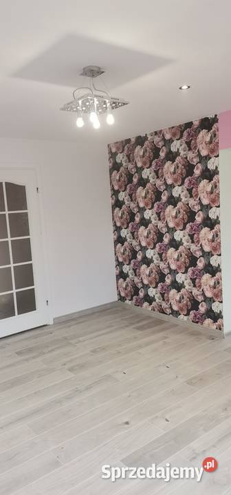 kompleksowe remonty pomieszczen