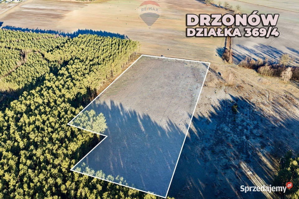 Na sprzedaż działka inwestycyjna 24900 m Sprzedaż Drzonów