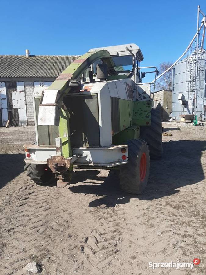 Sieczkarnia Claas jaguar 690 nieuszkodzony Wągrowiec