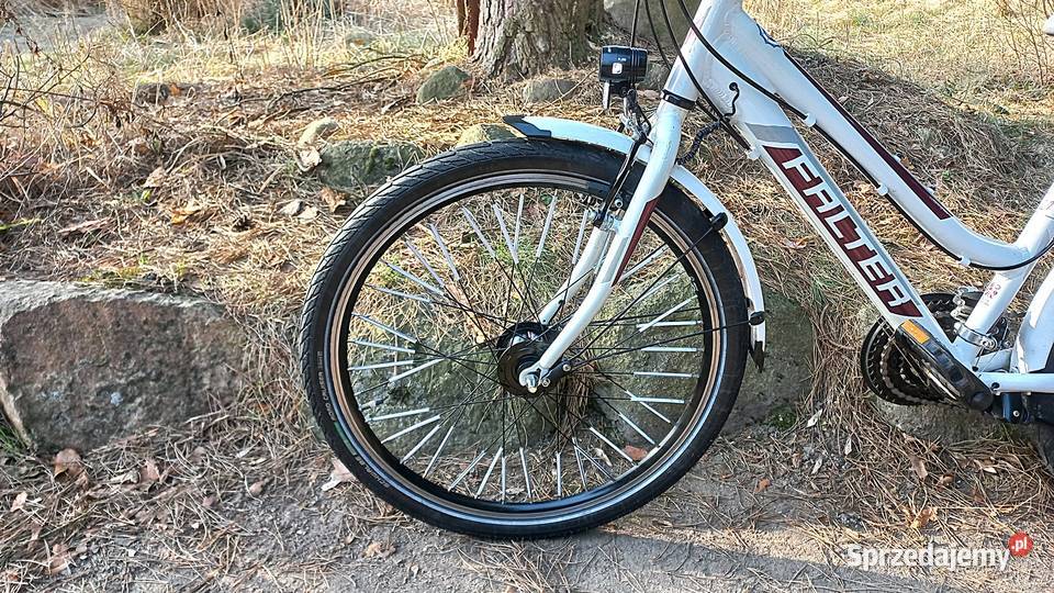 Alu Rower Młodzieżowy Dziecięcy Falter FX 421 dolnośląskie Wołów
