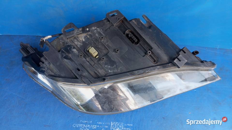 LAMPA LEWY PRZÓD EUROPA XENON DYNAMIC SKRĘTNY Nowy Tomyśl sprzedam