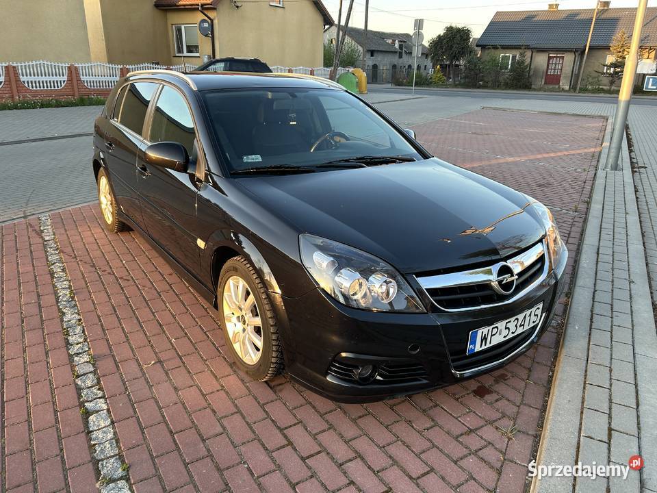 Opel Signum 18 18 LPG 140 Skóra Dwustrefowa mazowieckie Płock sprzedam
