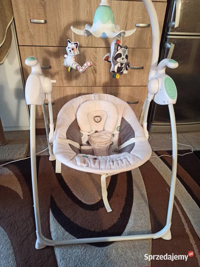 bujaczek Lionelo Robin Warszawa