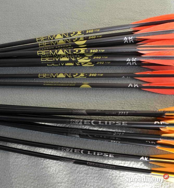 Łuk bloczkowy tarczowy Hoyt Vantage Elite Plus wielkopolskie Środa Wielkopolska