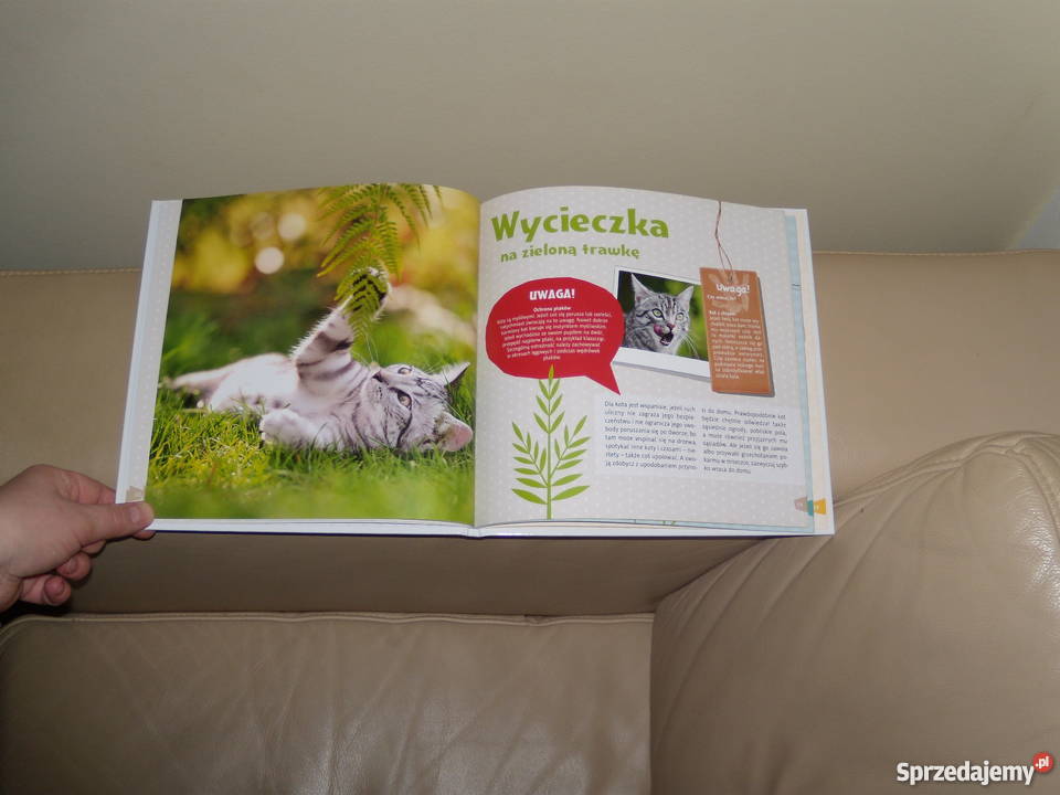 Claudia Toll Mój kotek Warszawa