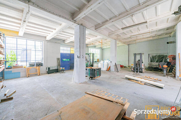 Lokal wynajmę Opole 350m2