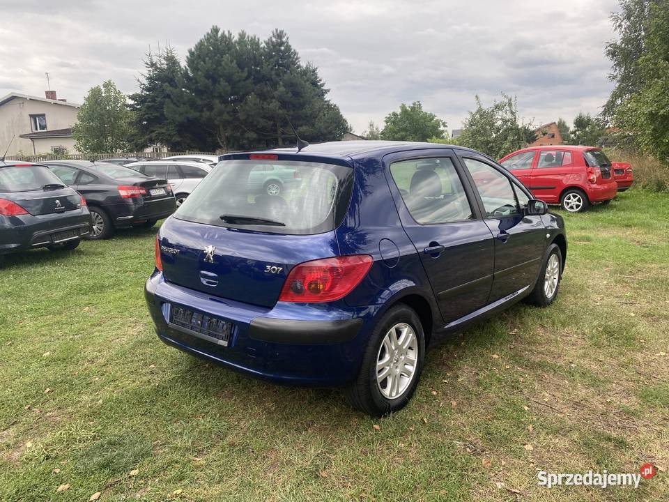 ŚLICZNY PEUGEOT 307 16 b 4/5 Łask sprzedam