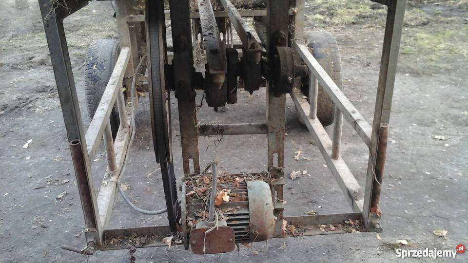 obcinarka do cebuli wielkopolskie