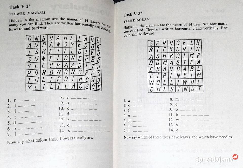 Enjoy Your English Zbiór Ćwiczeń Marcin Otto Chełm