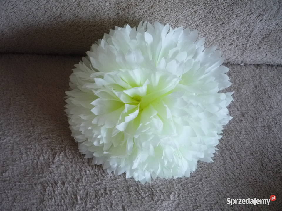 Duża 17 chryzantema główka żółta fioletowa wielokolorowy Dekoracje i ozdoby Szczecin