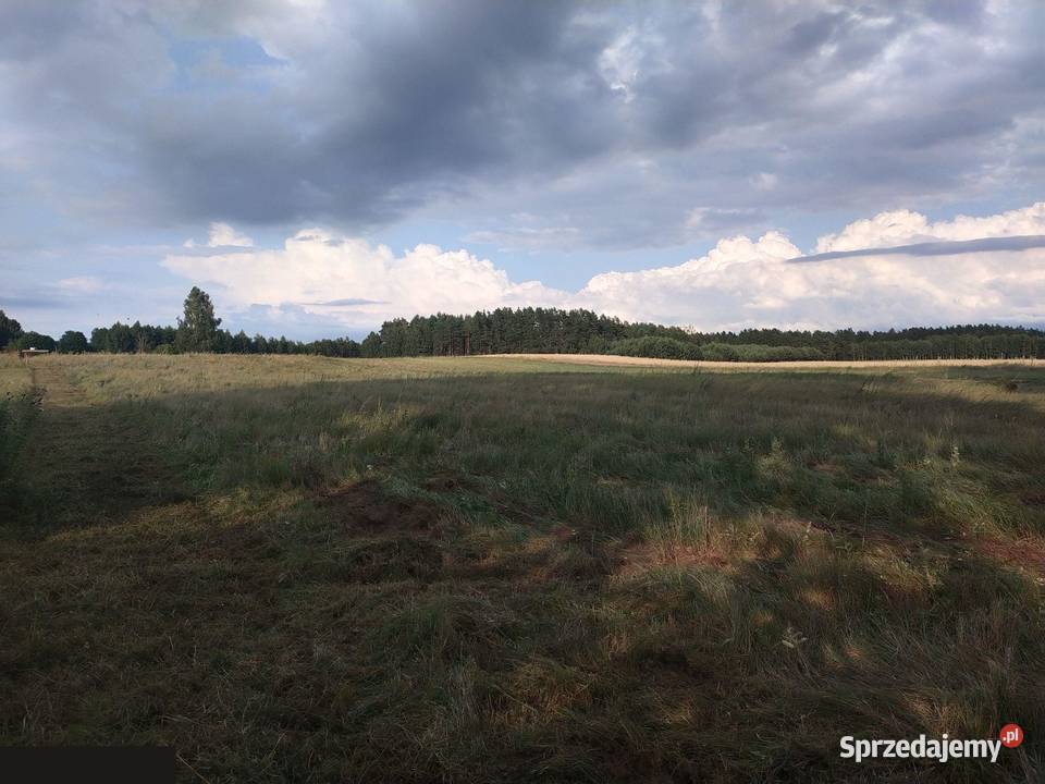 Duża działka 2700 m2 z Warunkami Zabudowy 37 m2 pomorskie sprzedam