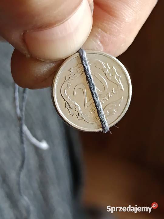 Sprzedam 20 groszy 2008 skretka Chełm