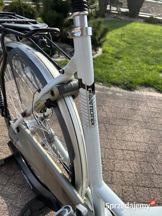 Rower damski Gazelle Chamonix Plus D 53 Kowalew