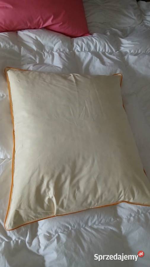 Poduszka 70x80 17 puch I pierze gesie 100 wielkopolskie Poznań