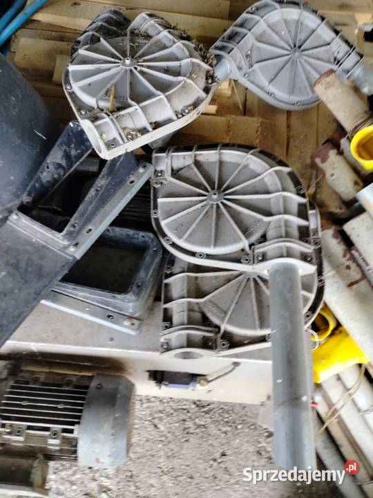 Paszociąg roxell Wągrowiec