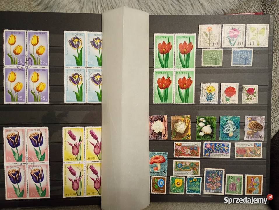 Duży album klaser ze starymi znaczkami Łowicz