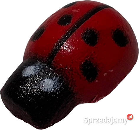 Drewniana biedronka biedroneczka 85x13mm Czeladź
