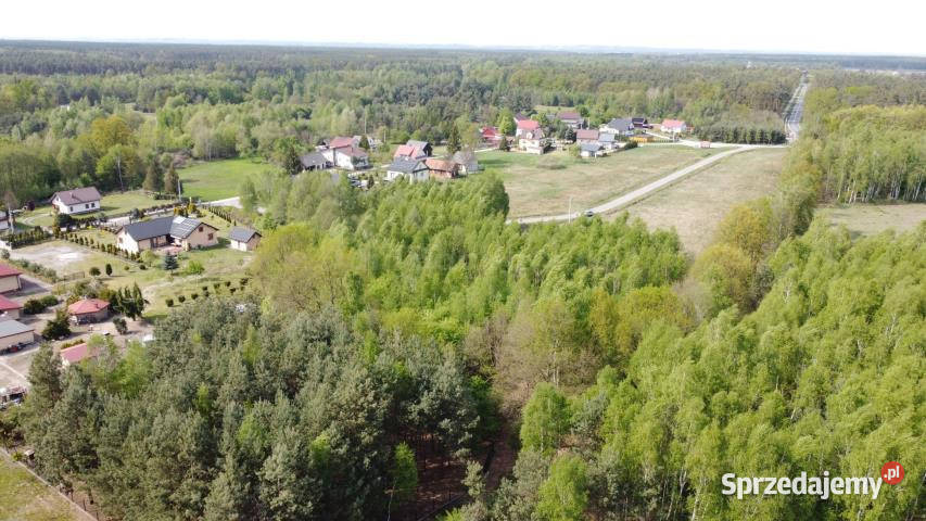 sprzedaży gruntu 17500m2 RudyRysie Rudy-Rysie