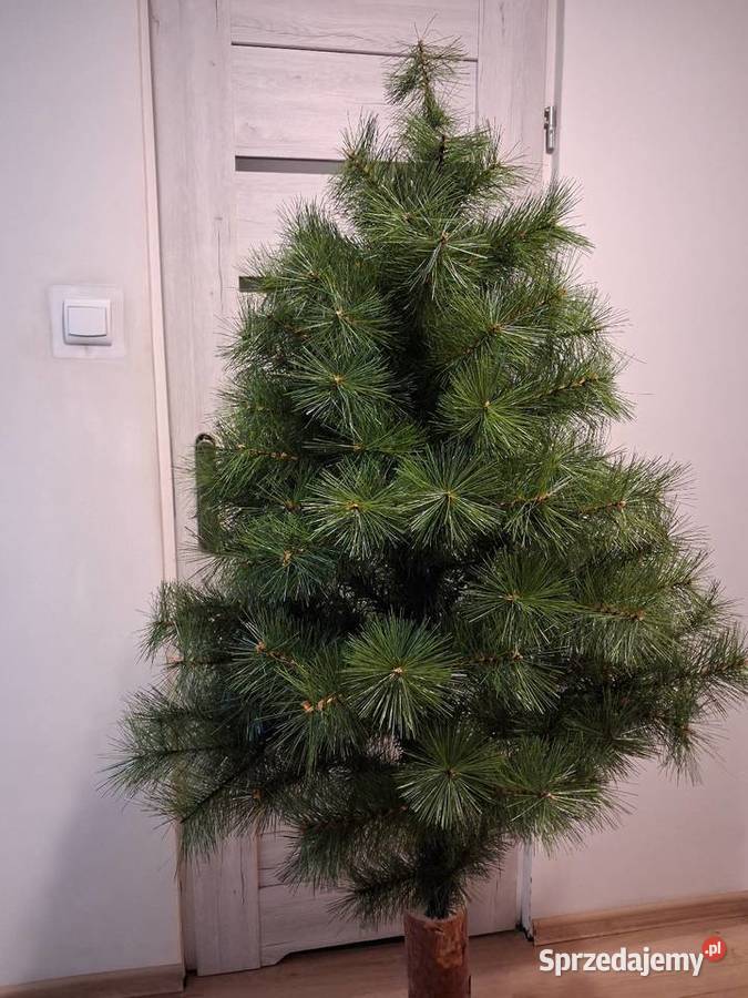 Choinka na grubym pniu sztuczna Boże Narodzenie Inowrocław