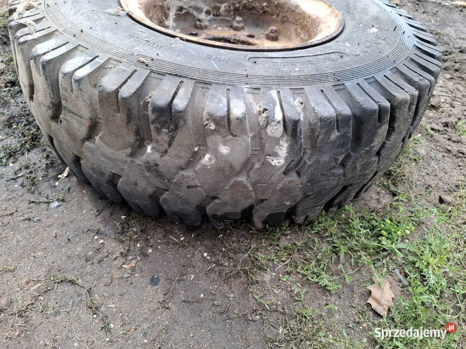 Kola 650 10 lubuskie