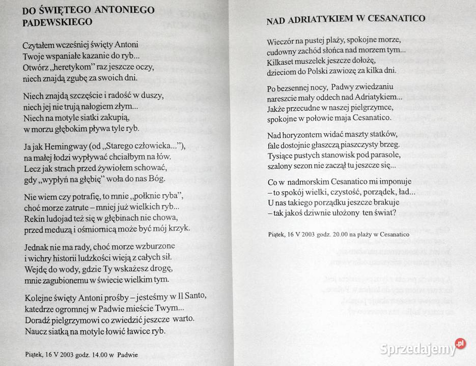 Ćwierć setki czerwonych maków Adam Polski lubelskie