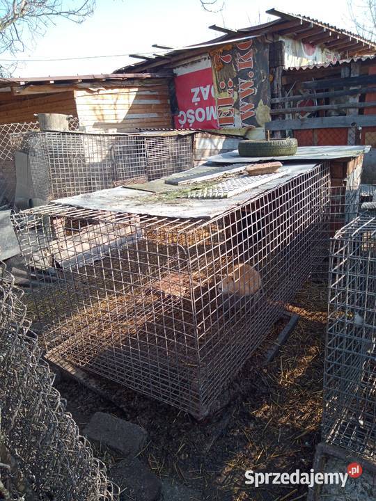 Sprzedam klatki Brennik