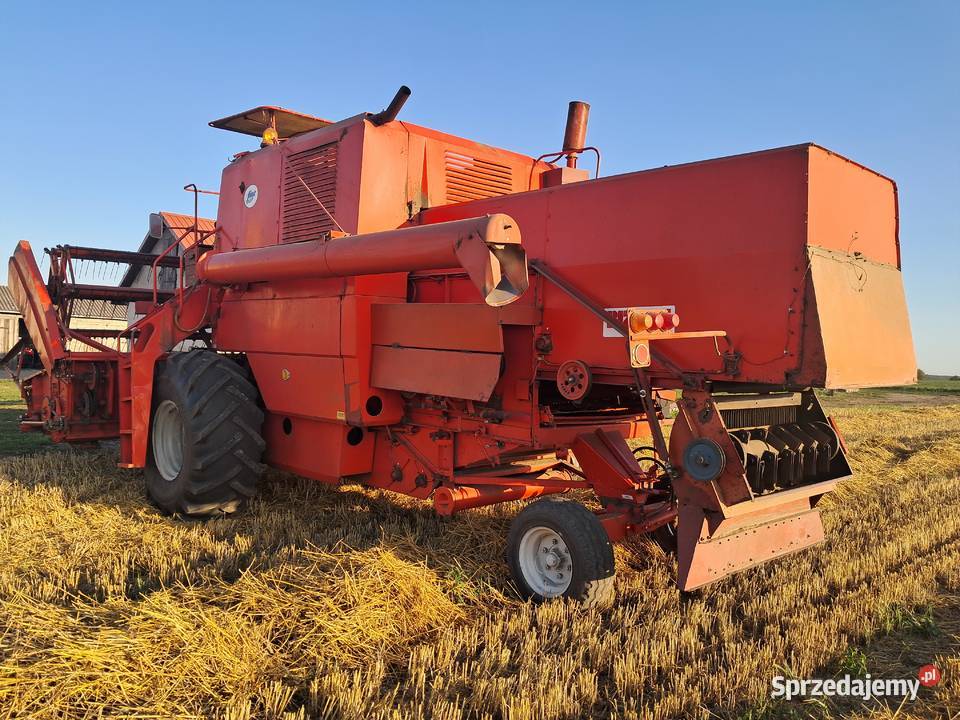 Bizon Zo56 super lubelskie Terebiń