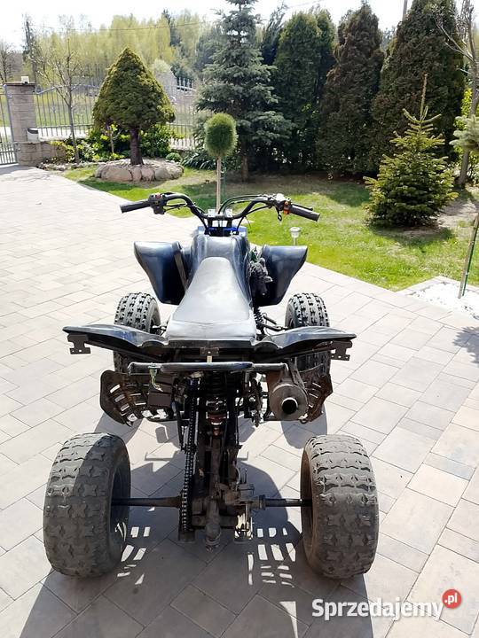 Sprzedam Bashana 250 250cm3 Borek Czarniński