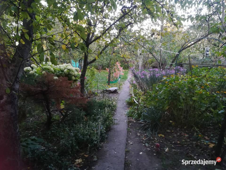 Sprzedam działkę ROD 400 m Bemowo Warszawa sprzedam