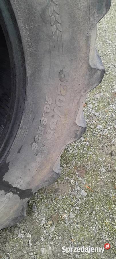 Opny 520 85r38 kleber Pępowo