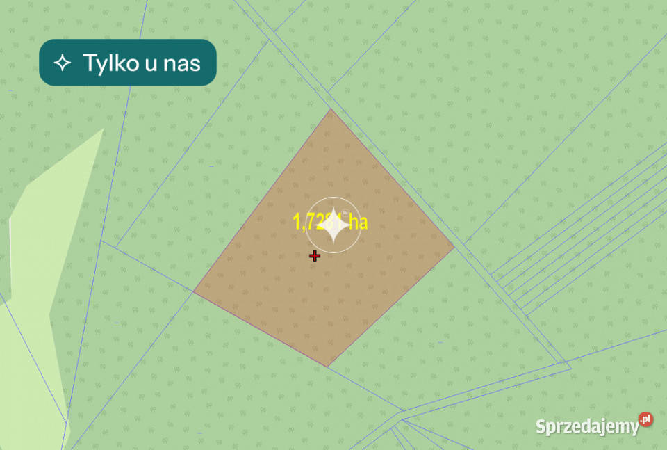 Działki leśne do sprzedaży Mokre gm Rossosz sprzedam