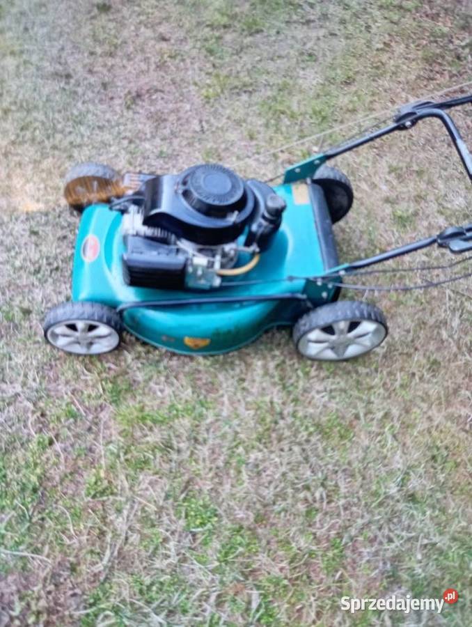 Duża Kosiarka spalinowa 56 Tuchola