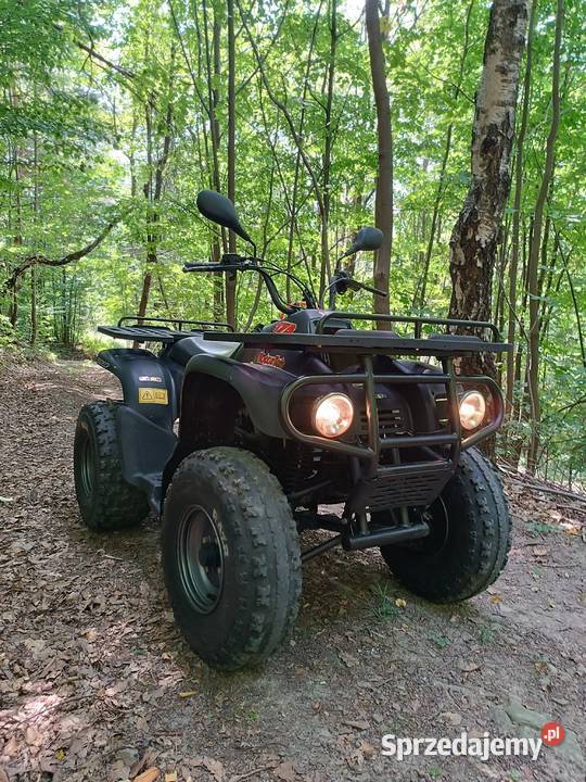 Quad Motortek 175 Pozostałe małopolskie Myślenice