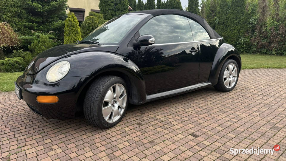 Volkswagen Beetle Beetle