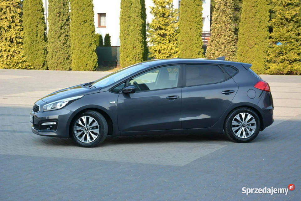 Kia Ceed 2017R Lift Duża Navi Kamerac Parktronic