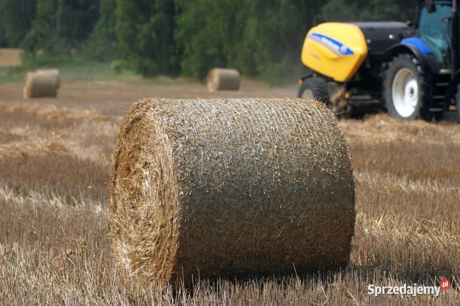 Słoma Siano Bele 120 Tarzymiechy Trzecie