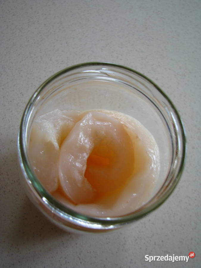 Żywa matka octowa ocet niepasteryzowany małopolskie Brzegi sprzedam